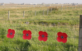 http://www.hebrides-news.com/commemorative-poppy-trail-101114.html